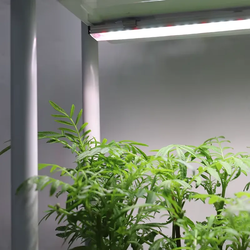 Smart Garden Box - Verplaatsbaar verticaal 3-laags zelfwaterende slimme tuinplantbak