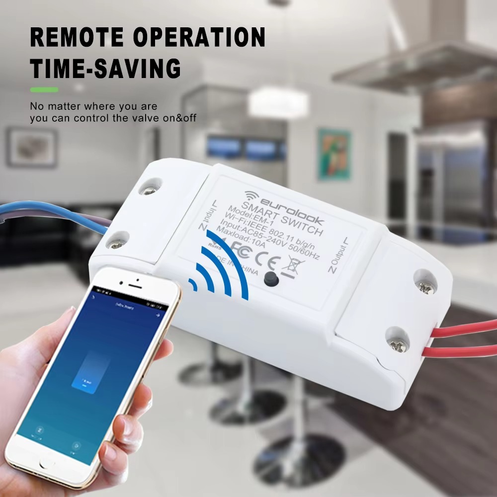 AC220V Tuya WiFi Smart Magneet - Smart Garden Instructions recensie en prijs