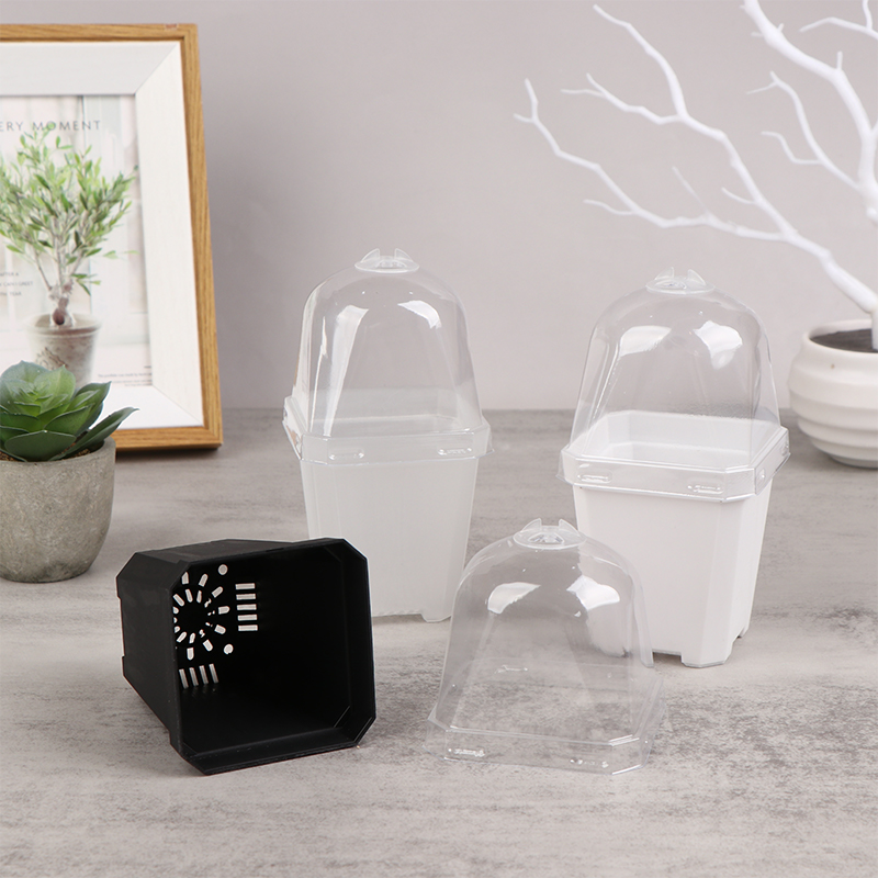 5 Stuks Vierkante Kleine Bloem - Smart Garden Domes recensie en prijs