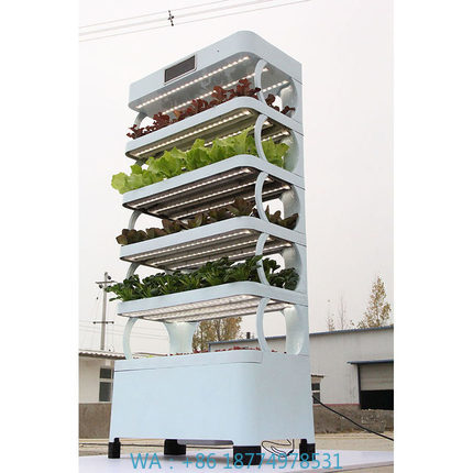 arming Home Hydrocultuur kweek - Smart Garden Indoor recensie en prijs