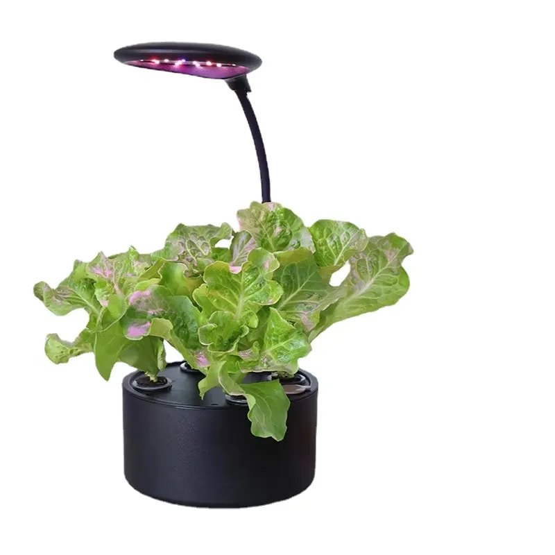 voor Smart Home Intelligent Bo - Smart Garden Box recensie en prijs