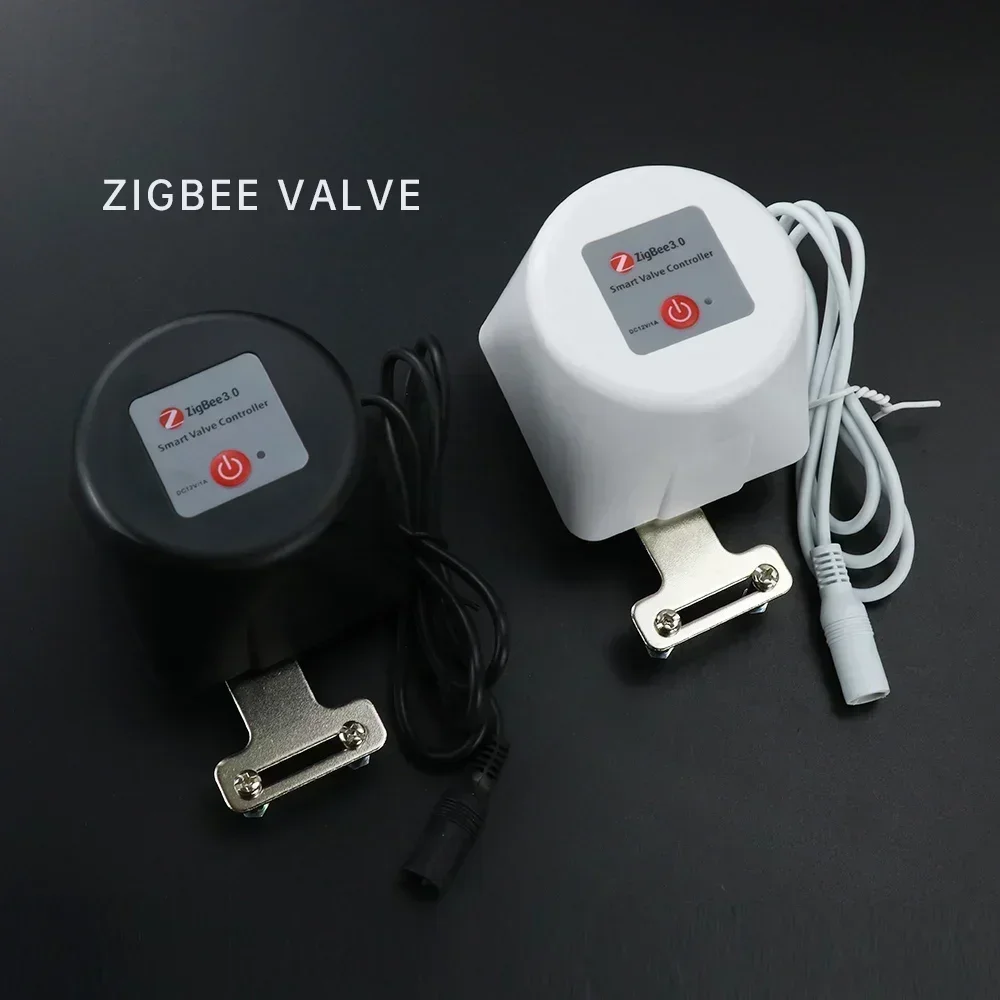 Tuya Zigbee Smart Gasklep WIFI - Smart Garden Instructions recensie en prijs